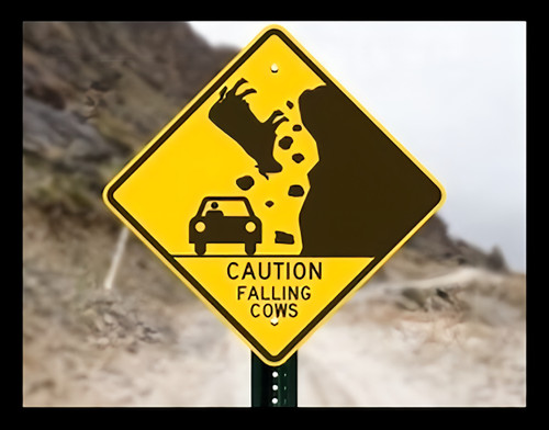 Caution falling cows - falling, sign