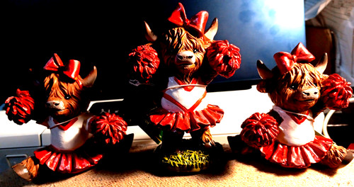 Highland cow cheerleader - cow,