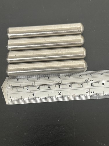 Cow magnets - --, magnets—-