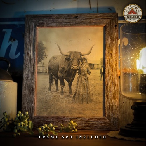 Vintage longhorn bull - vintage,