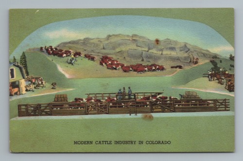 Modern cattle industry - modern,